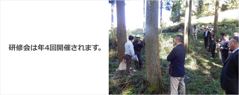 研修会は年4回開催されます。